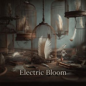 Silhouettes in Harmony