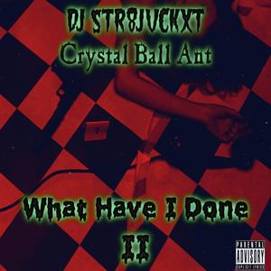 What Have I Done (Part 2) (feat. Crystal Ball Ant)