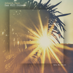 Sun Will Shine