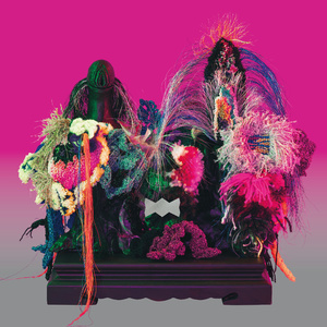 精灵 Animal Spirit