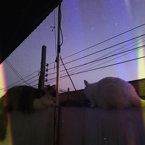 เฝ้ามอง