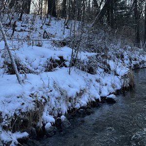 我只愿你遍历山河觉得人间值得