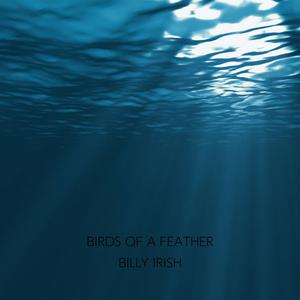 Birds of a Feather (Acoustic Edit)