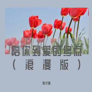 陪你到爱的终点(浪漫版)