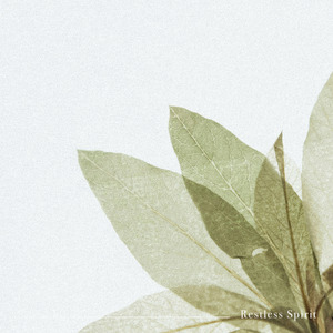 Restless Spirit