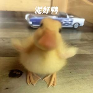 秋夏