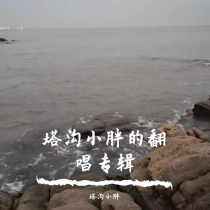 爱江山给爱美人（温柔版）—塔沟小胖（翻自 降央卓玛）