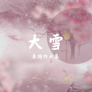 流浪的猫写情诗