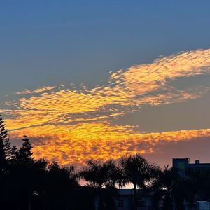 患得患失（Prod.Siren & WUJIE& EVO MUSIC