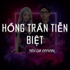 Hồng Trần Tiễn Biệt (EDM Version)