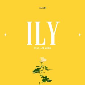 ILY (feat. AMG WOOD)
