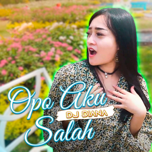 Opo Aku Salah
