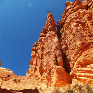 嘘みたいな君の夢