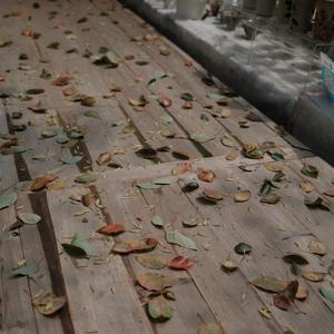 一生的爱_cover林俊杰