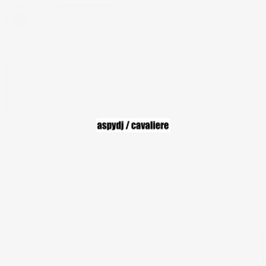 Cavaliere