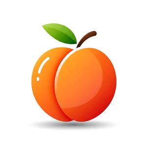 Reggaeton Melocoton (feat. Sangria)