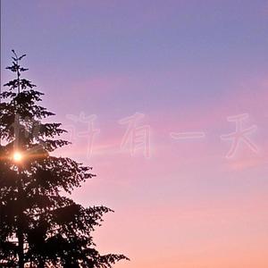 【FREE】“perhaps”第二版本