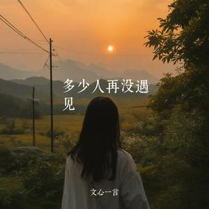 多少人再没遇见