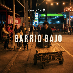 Barrio bajo