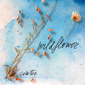 bubbles (wildflower)