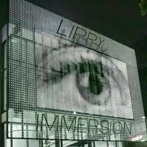 Immersion