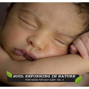 New York Ocean Birds