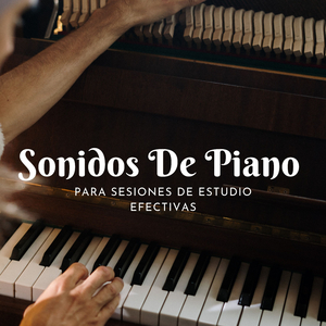 Serenata De Piano Para La Concentración