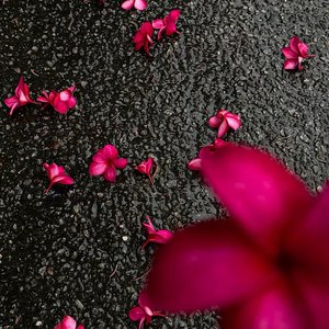 路灯下雪花飘成你的轮廓