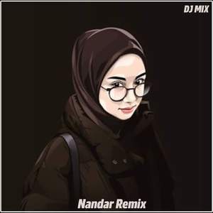 DJ Biarkan Ku Menggapaimu Memelukku Memanjakanmu