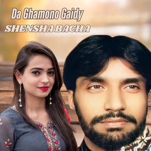 Da Ghamono Gaidy