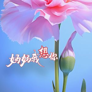 妈妈我想你
