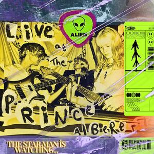 Mojo pin (Live Version)