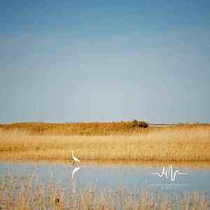 似梦非梦 (催眠+水流声)