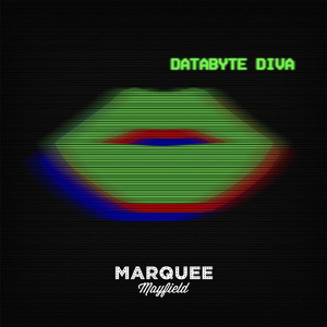 Databyte Diva