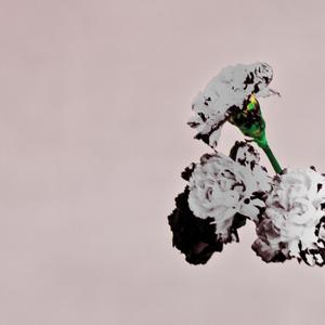 Bridge Over Troubled Water (Live)