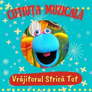 Vrăjitorul Strică Tot