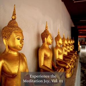 Mindful Meditation Removes Negative Thoughts