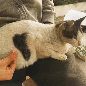 我可能会在春天死去（Demo）