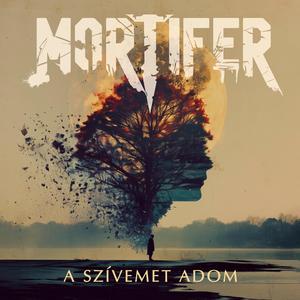 Szívemet adom