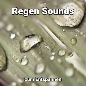 Regen Sounds