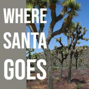 You Tell Me Your Dream