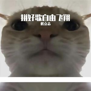 最炫民族风（改编版）