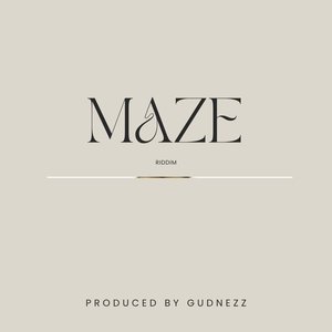 MAZE RIDDIM INSTRUMENTAL