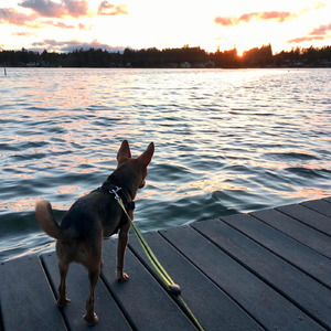 Sunset Dream (heartstuff Remix)