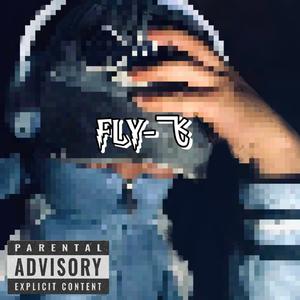 FLY-飞