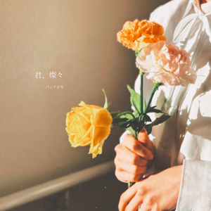 君、燦々