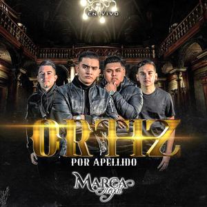 Ortiz Por Apellido