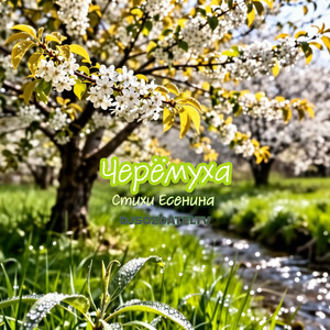 Черёмуха (Djsozdateltv)
