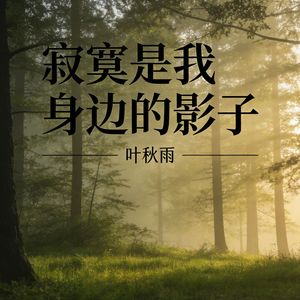 寂寞是我身边的影子