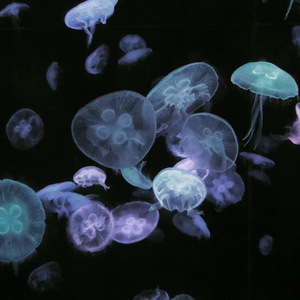 empty 9（Prod.by. Taliens）